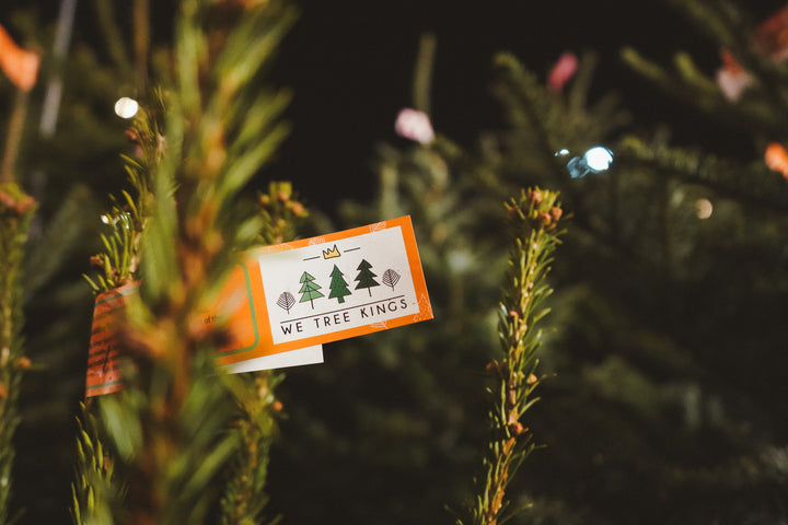 Tree Kings Christmas Tree Pop-Up Shops – We Tree Kings