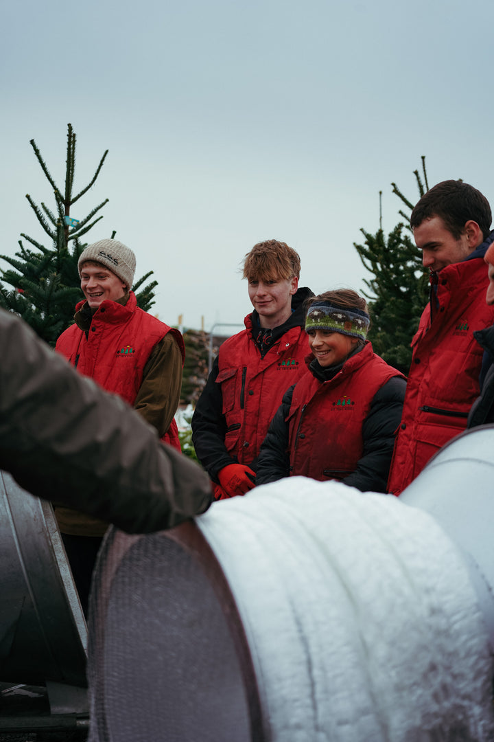 Tree Kings Real Christmas Trees in Manchester | We Tree Kings